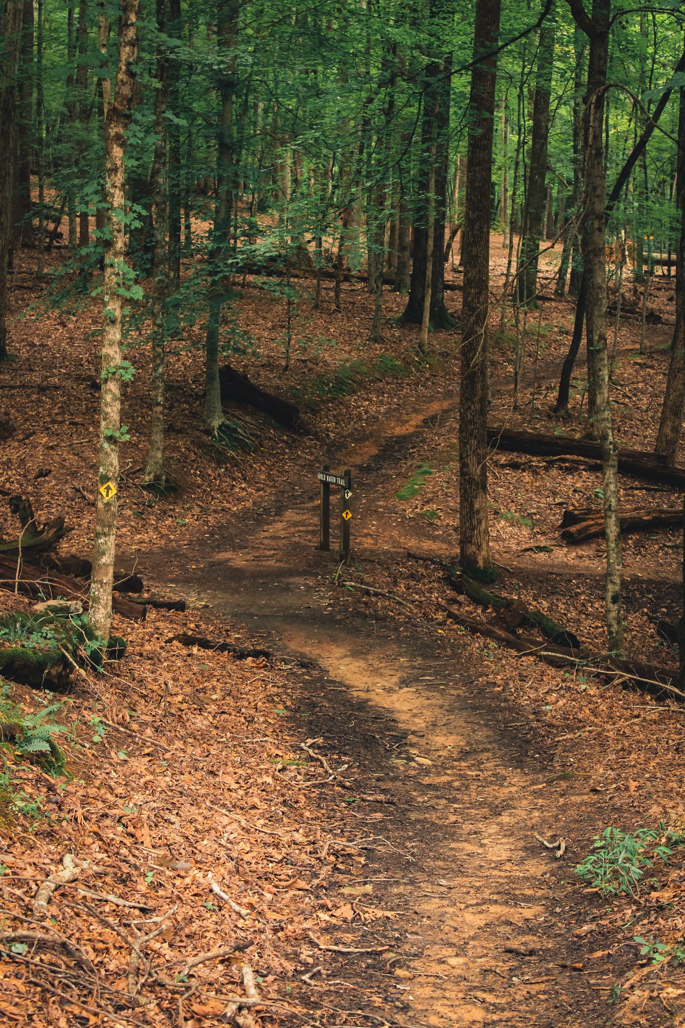 Randonnées et VTT